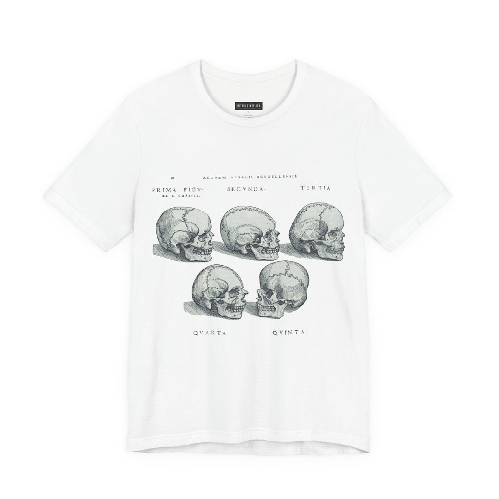Skull | De Humani Corporis Fabrica | Vesalius 1543