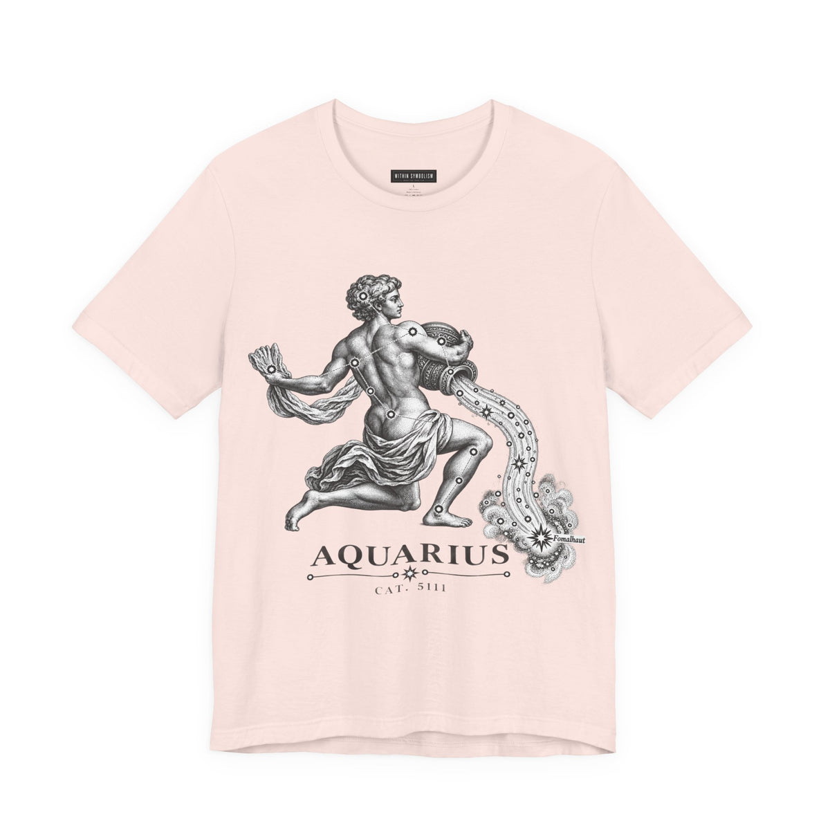 Aquarius | Uranographia | Hevelius 1690