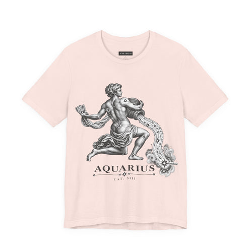 Aquarius | Uranographia | Hevelius 1690