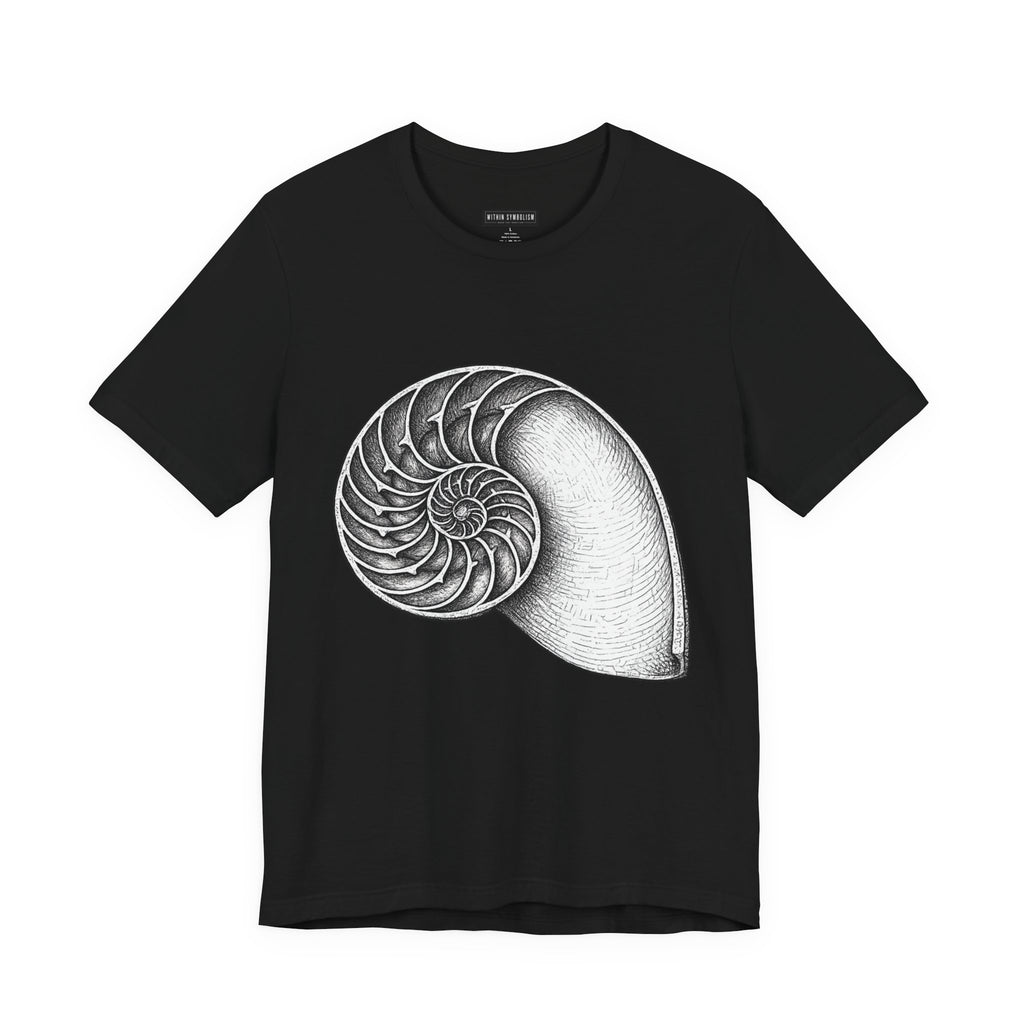 Nautilus Shell | Golden Spiral