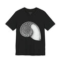 Nautilus Shell | Golden Spiral
