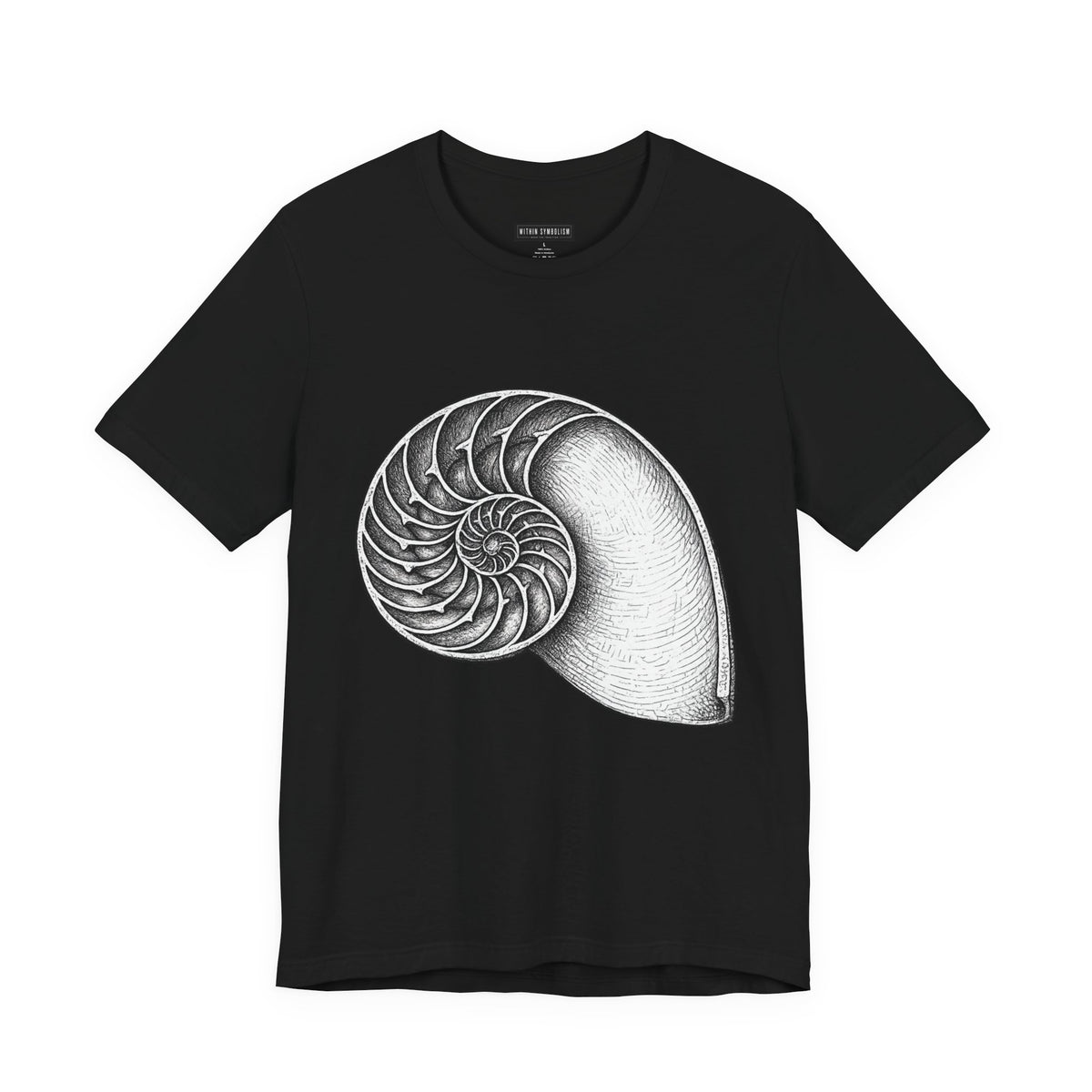 Nautilus Shell | Golden Spiral