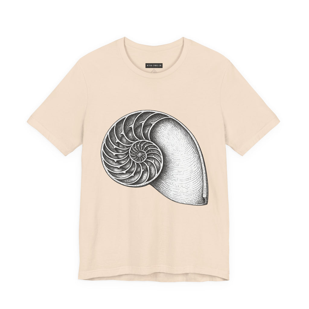 Nautilus Shell | Golden Spiral