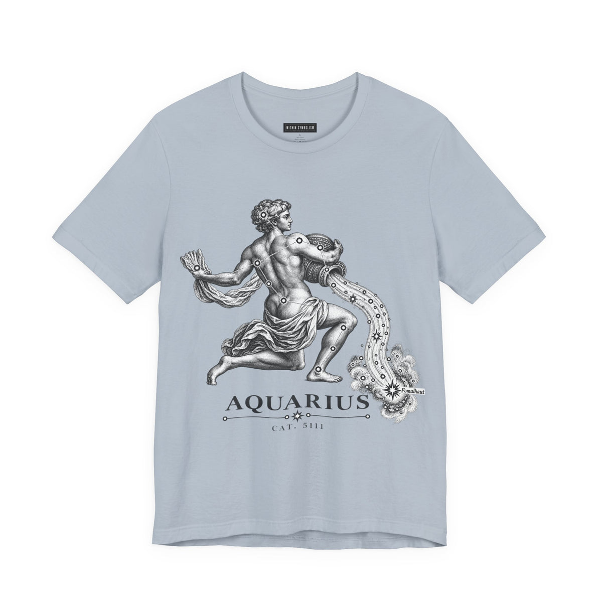 Aquarius | Uranographia | Hevelius 1690